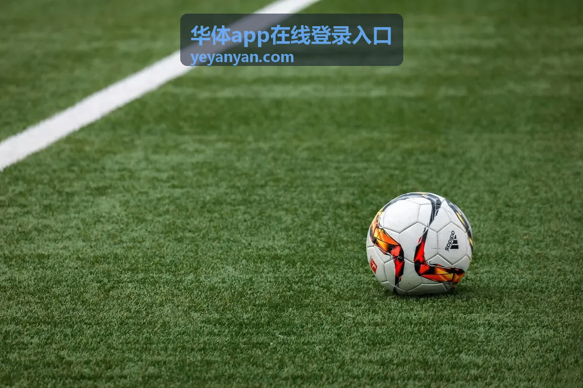华体app在线登录入口账号信息填写区域示意