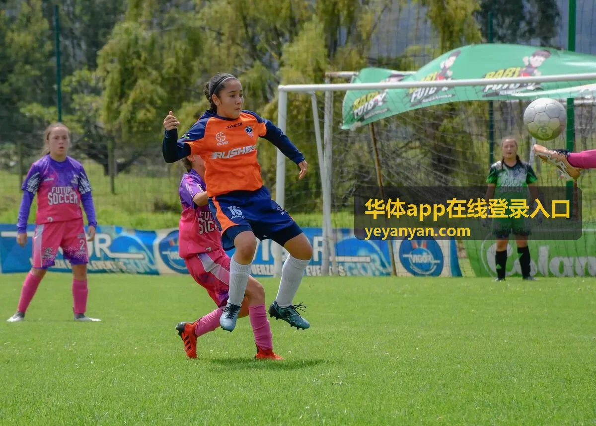 华体app在线登录入口安全验证环节示意