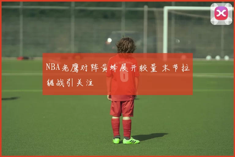 NBA老鹰对阵黄蜂展开较量 末节拉锯战引关注