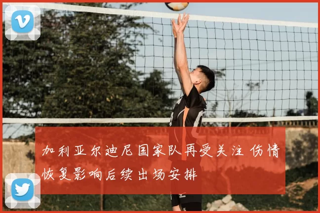 加利亚尔迪尼国家队再受关注 伤情恢复影响后续出场安排