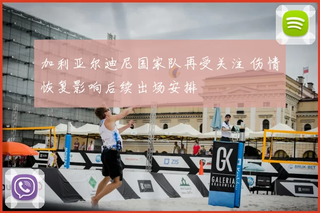 加利亚尔迪尼国家队再受关注 伤情恢复影响后续出场安排