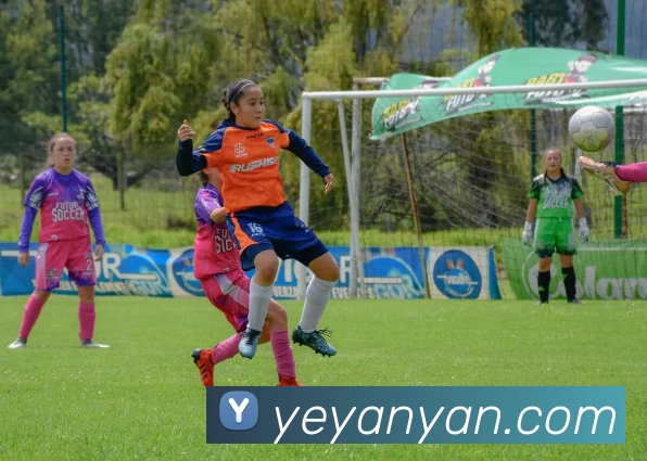 九游在线平台官网发展历程